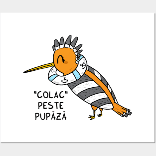 Colac peste pupaza Posters and Art